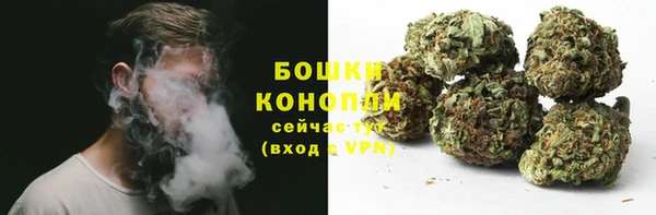 сатива Абаза