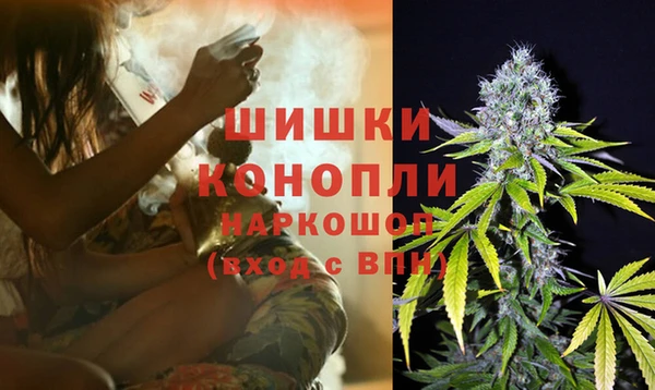 сатива Абаза