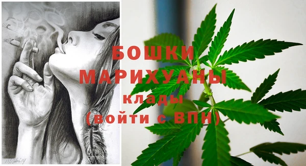 сатива Абаза