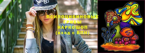 сатива Абаза